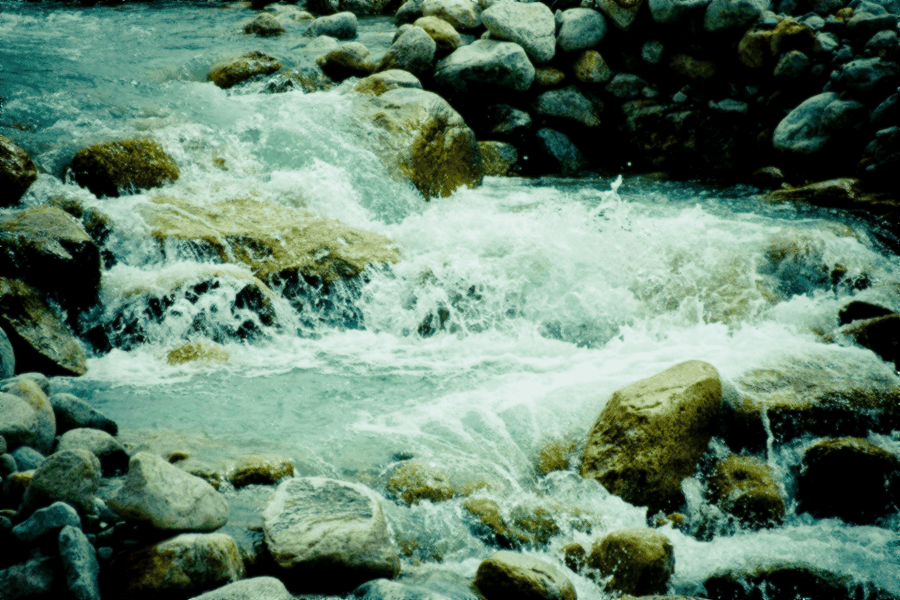 CFO discussions, treasury policy, expert Q&A