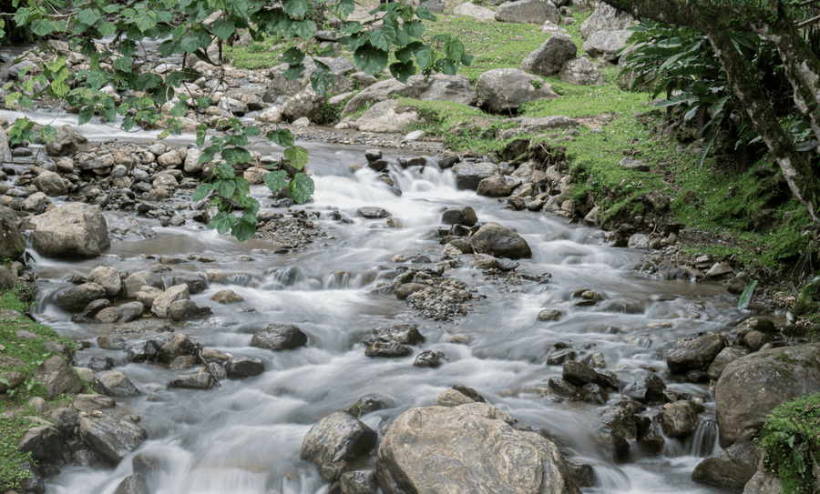 Performance review, liquidity optimization, forecasts